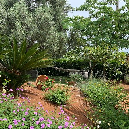 B&B All'Ombra Degli Ulivi Ostuni Luaran gambar