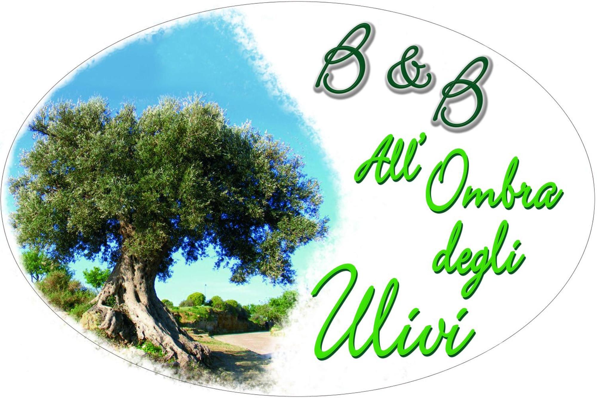 B&B All'Ombra Degli Ulivi Ostuni Luaran gambar