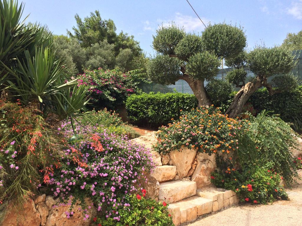 B&B All'Ombra Degli Ulivi Ostuni Luaran gambar
