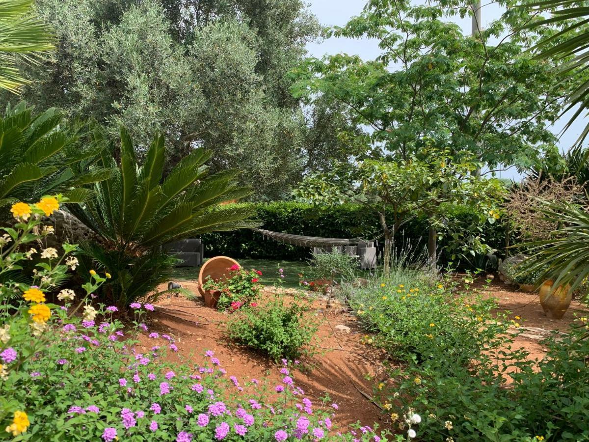B&B All'Ombra Degli Ulivi Ostuni Luaran gambar